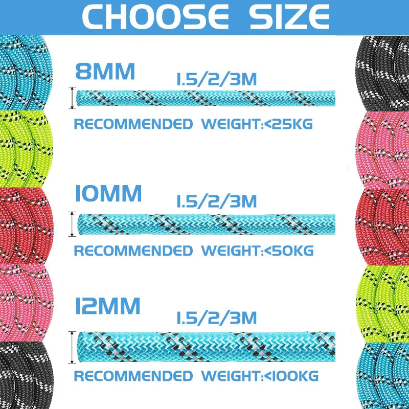 Strong Reflective Dog Leash