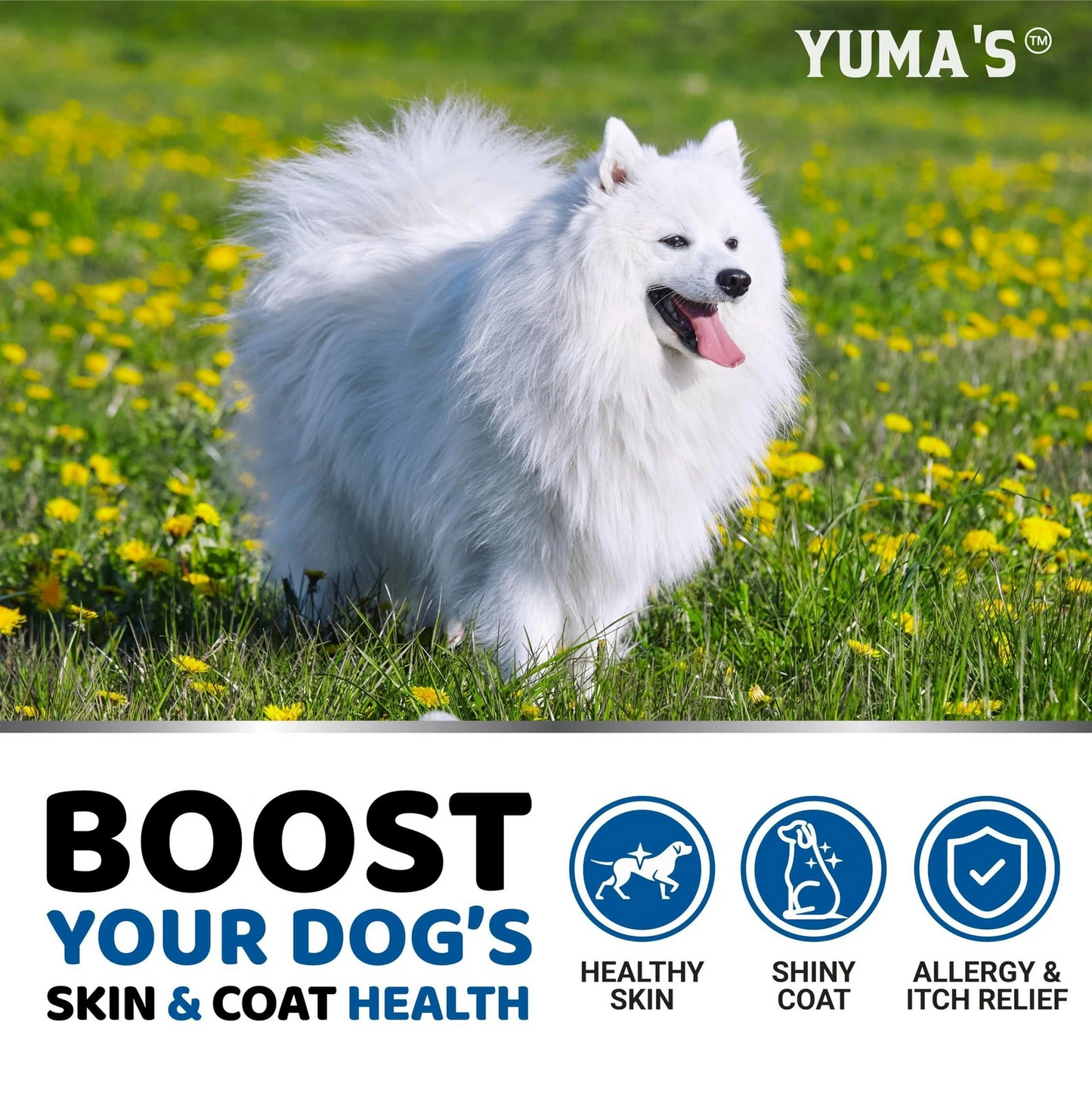 Omega 3 Fish Oil Chews for Dogs – Skin & Coat Support