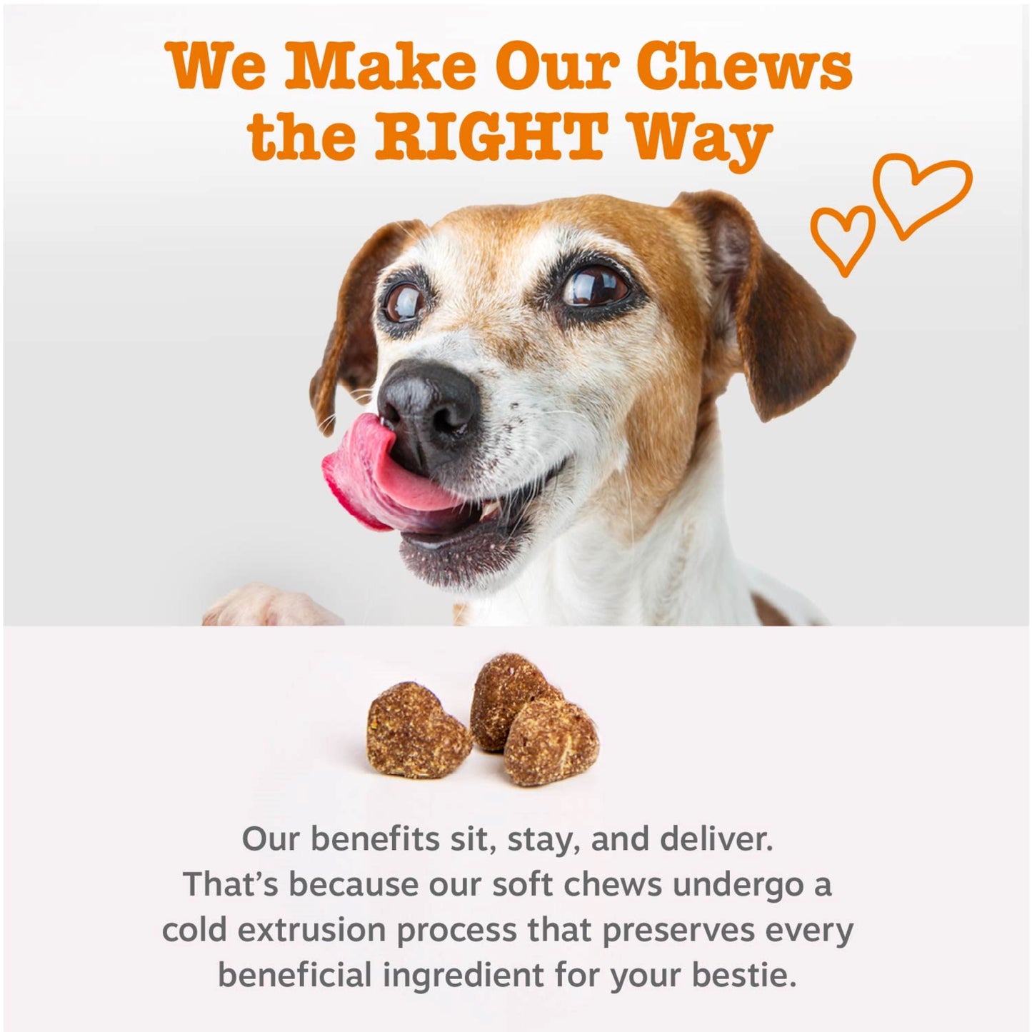Allergy & Immune Bites for Dogs, for Allergies & Immune Support, Lamb, 170Ct