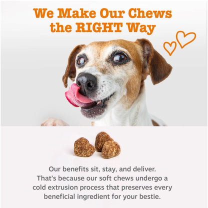 Allergy & Immune Bites for Dogs, for Allergies & Immune Support, Lamb, 170Ct