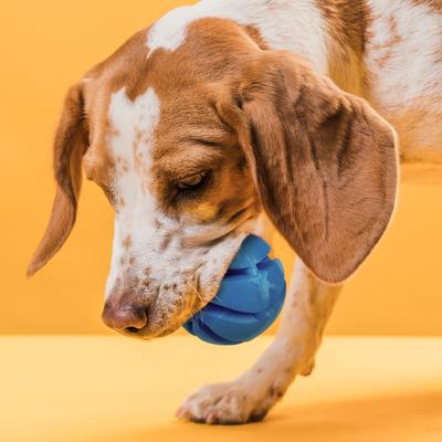 Electric Auto-Rolling Smart Dog Ball Toy