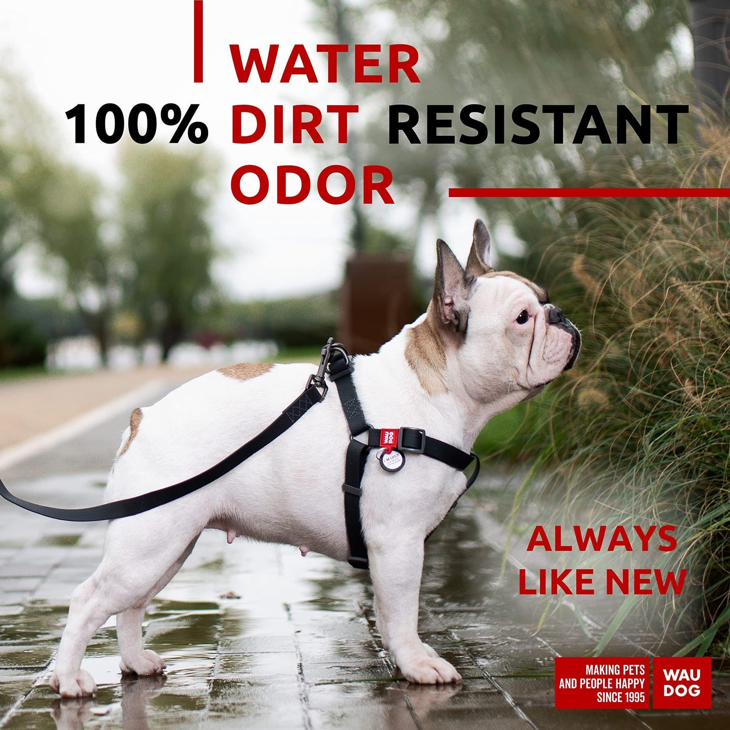 Waterproof Adjustable Heavy Duty Dog Harness