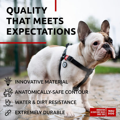 Waterproof Adjustable Heavy Duty Dog Harness