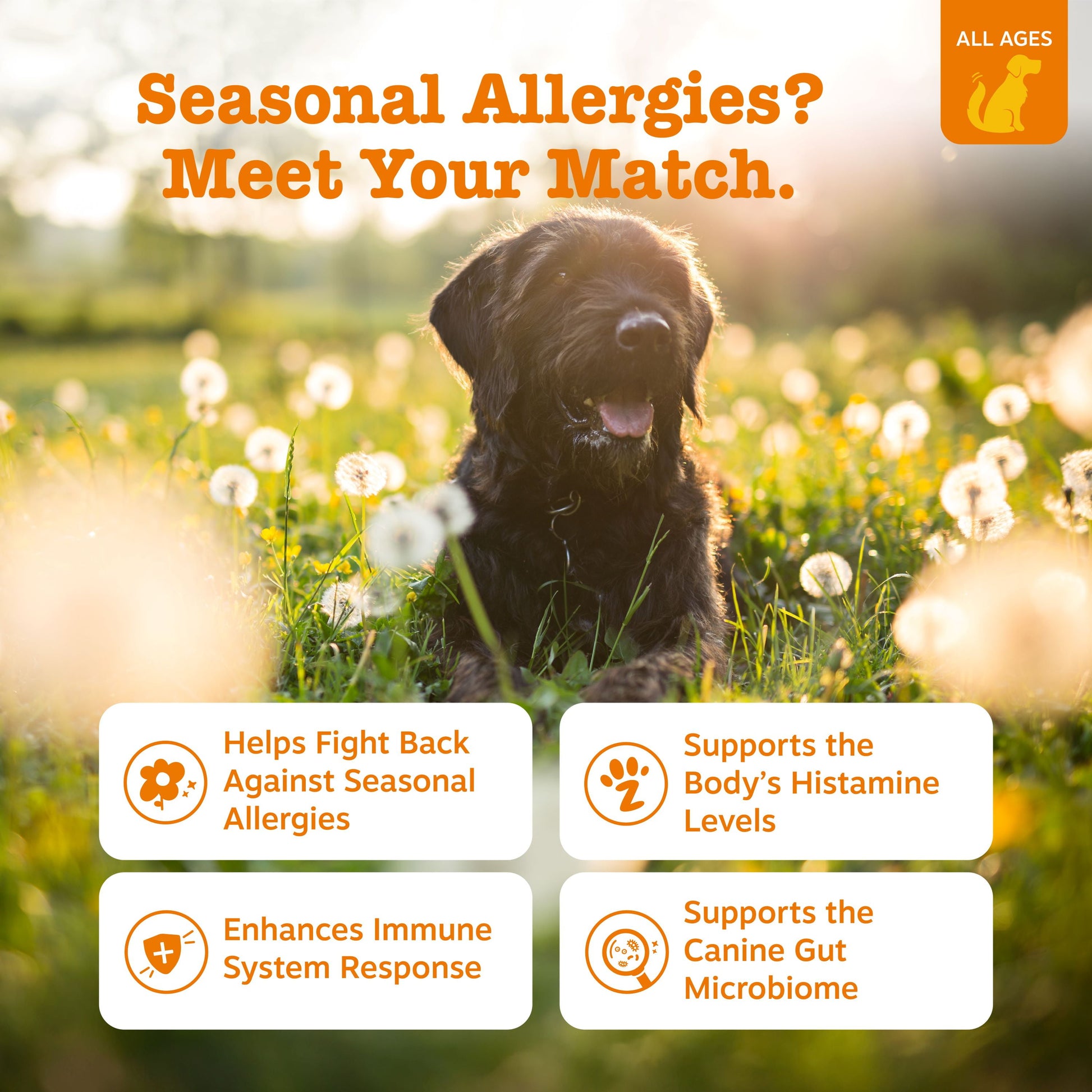 Allergy & Immune Bites for Dogs, for Allergies & Immune Support, Lamb, 170Ct