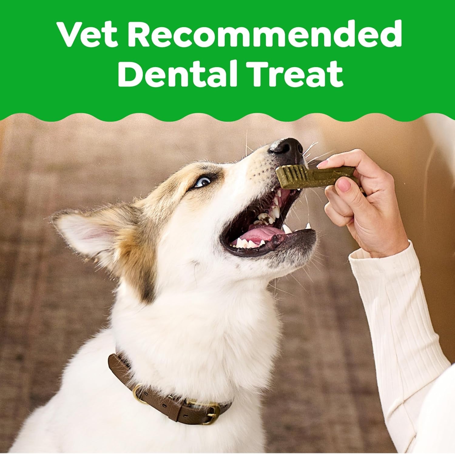Veterinarian-Recommended Adult Natural Dental Dog Treats Large Size, Dog Dental Chews, Original Flavor, 54 Oz. Pack, 34 Count