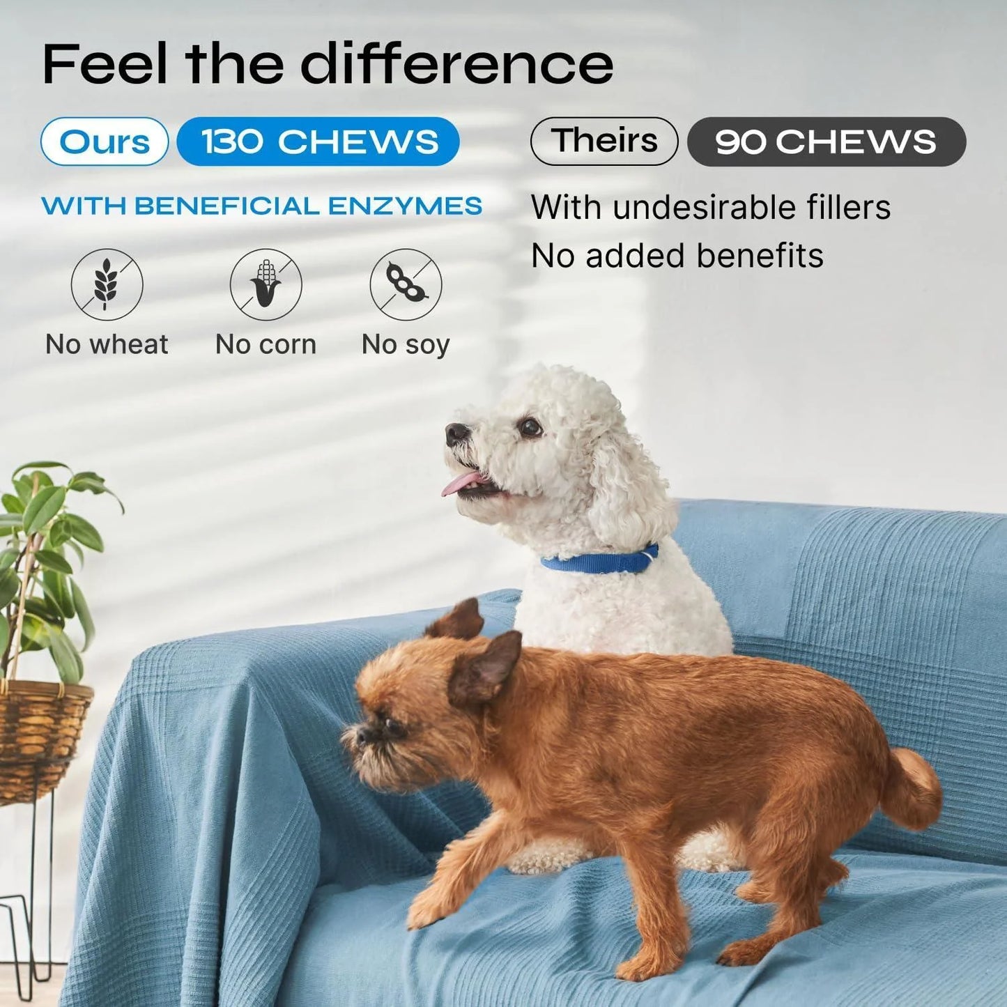 Probiotics for Dogs Dog Probiotic Chews for Digestive and Gut Health Dental Immune System Support Chewable Prebiotic Soft Treats Diarrhea and Bowel Support Supplement Wild Yam Yeast Powder