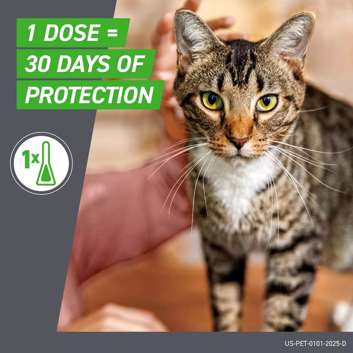 Frontline plus Flea and Tick Treatment for Cats and Kittens - 8 Weeks and Older - 3 Doses