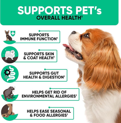 Natural Dog Allergy Chews for Dog Itch Tasty Allergy Relief Pet Supplement For