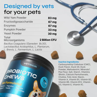 Probiotics for Dogs Dog Probiotic Chews for Digestive and Gut Health Dental Immune System Support Chewable Prebiotic Soft Treats Diarrhea and Bowel Support Supplement Wild Yam Yeast Powder