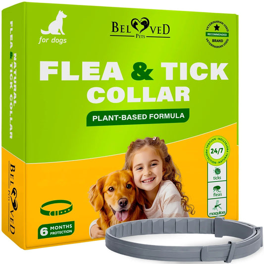 Natural Flea & Tick Collar for Dogs 6 Months Control of Best Prevention & Safe Treatment anti Fleas and Ticks Essential Oil Repellent (1 Count (Pack of 1))