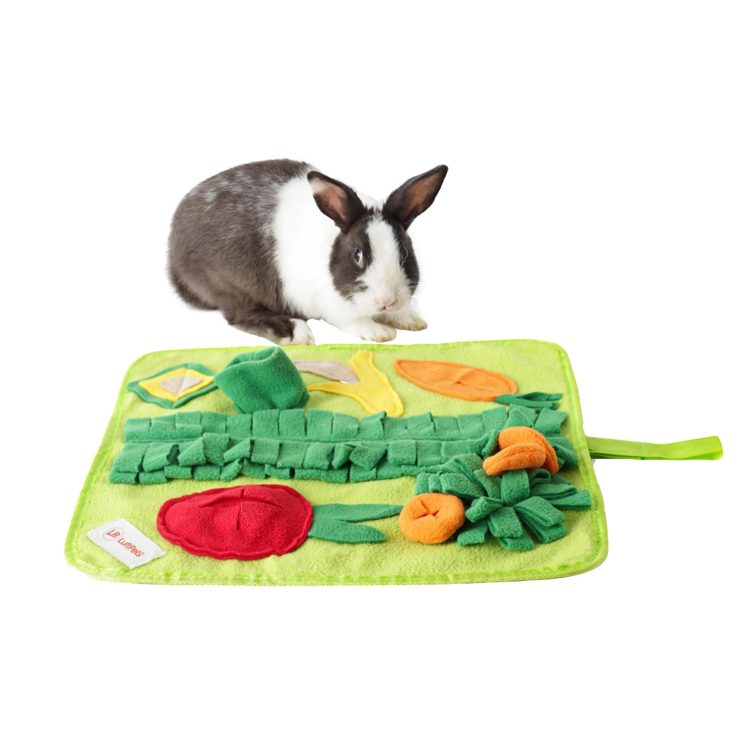 Soft Washable Anti-Slip Foraging Puzzle Toy