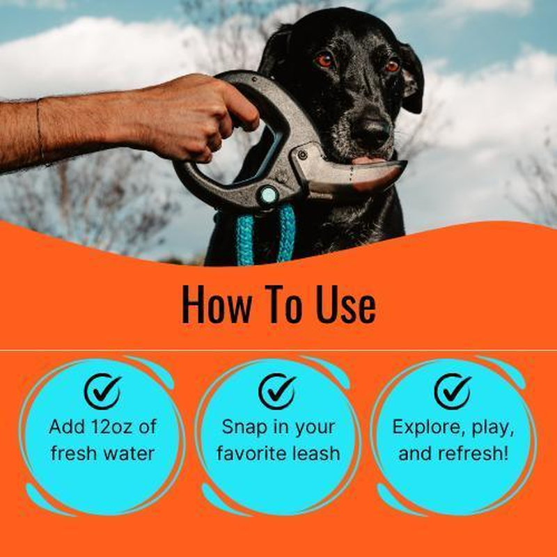 Portable Dog Water Bottle with Flip-Open Cup