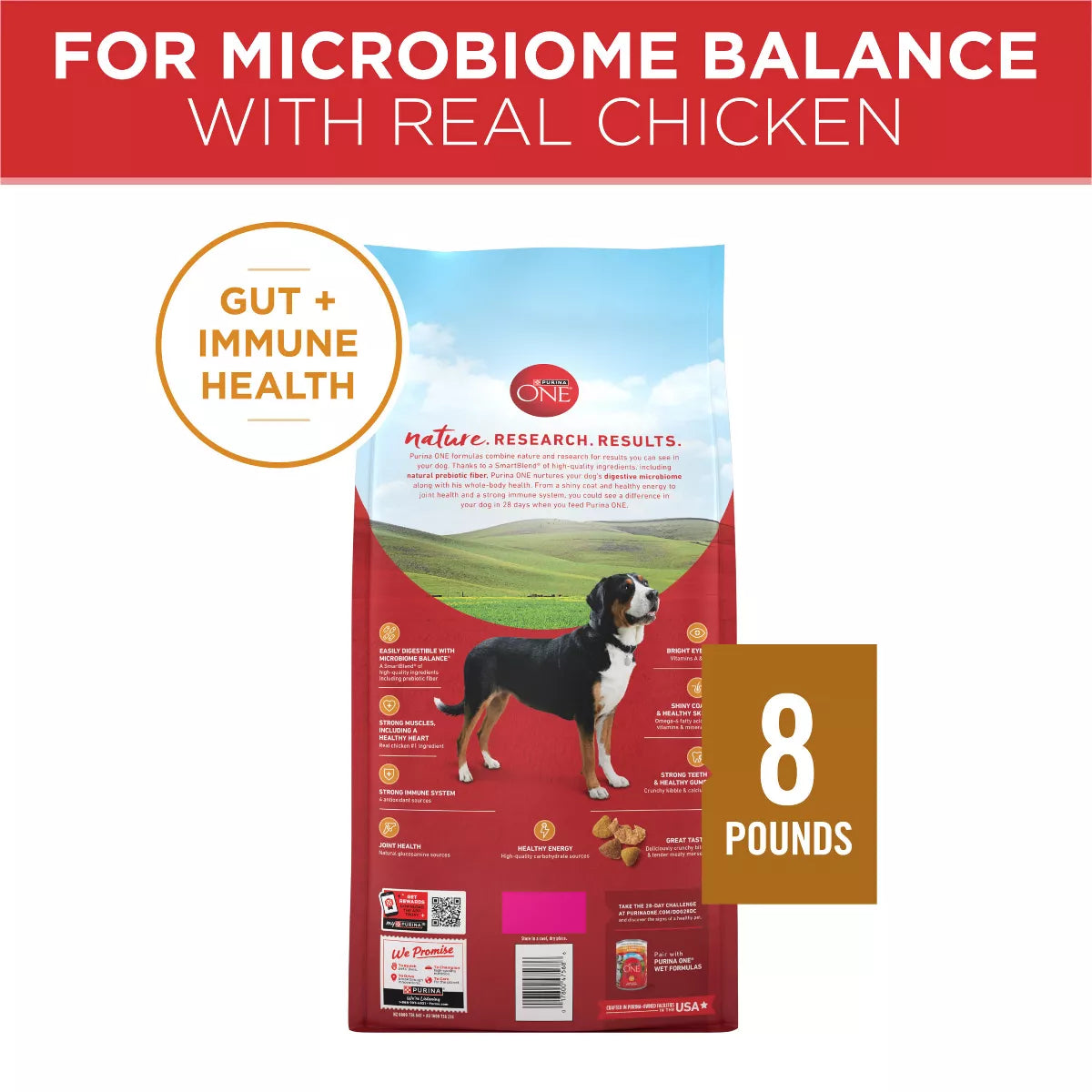 Purina ONE Smartblend Natural Dry Dog Food with Chicken & Rice