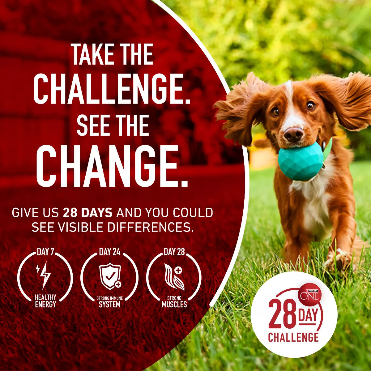Purina ONE Smartblend Natural Dry Dog Food with Chicken & Rice
