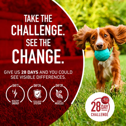 Purina ONE Smartblend Natural Dry Dog Food with Chicken & Rice
