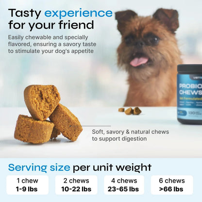 Probiotics for Dogs Dog Probiotic Chews for Digestive and Gut Health Dental Immune System Support Chewable Prebiotic Soft Treats Diarrhea and Bowel Support Supplement Wild Yam Yeast Powder