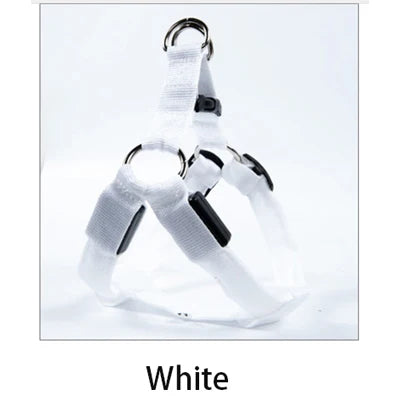 43733162164412|43733162197180|43733162229948|43733162262716|43733162295484