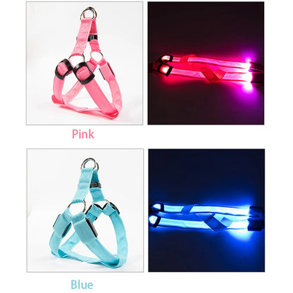 LED Safety Harness