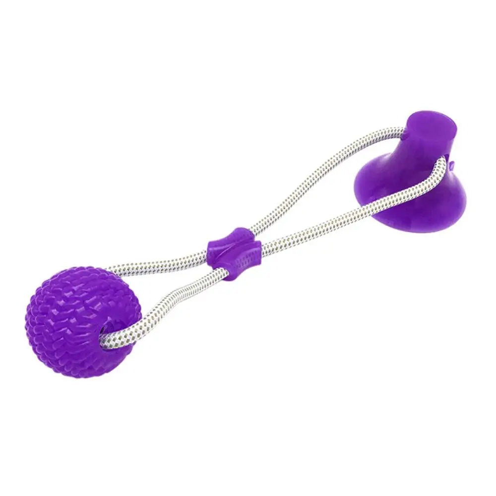 Interactive Dog Toy