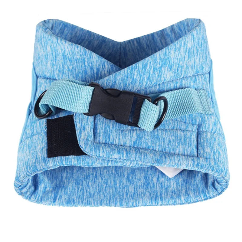 Cat Harness Leash Set