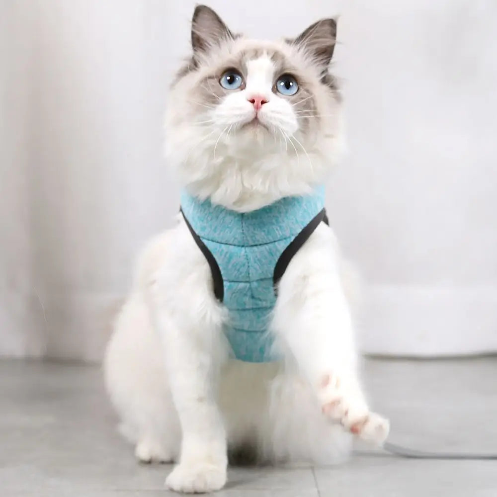 Cat Harness Leash Set