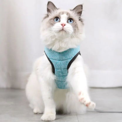 Cat Harness Leash Set