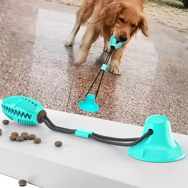 Interactive Dog Toy