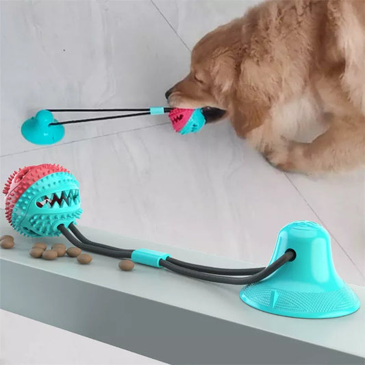Interactive Dog Toy