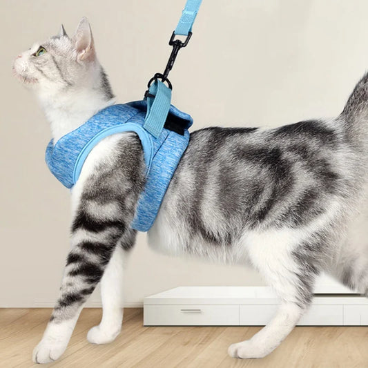 Cat Harness Leash Set