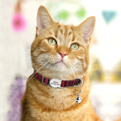 Personalized Cat Collar with ID Plate