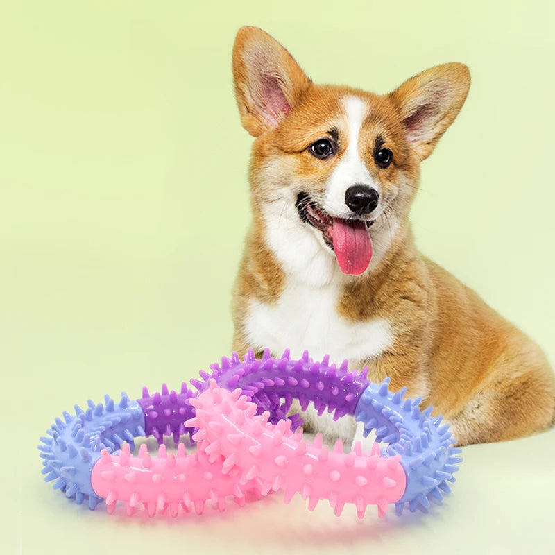 Rubber Thorn Ring Chew Toy