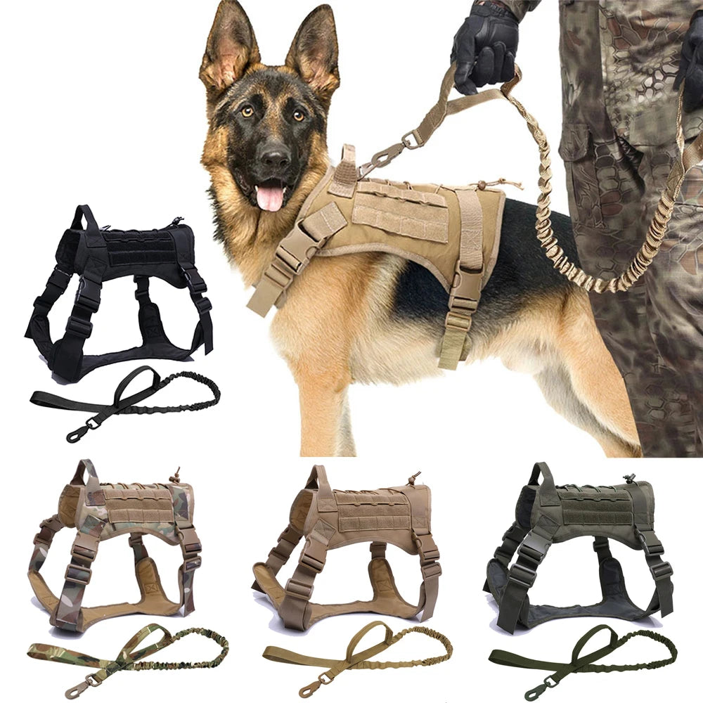 Dog Harnesses