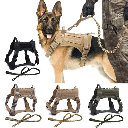 Dog Harnesses