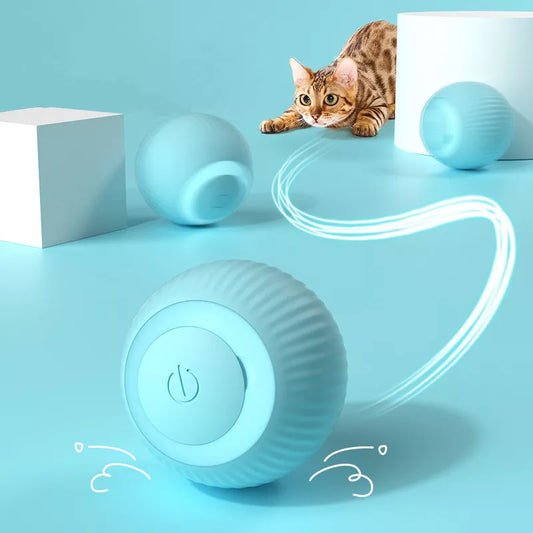 Cat Electric Toys