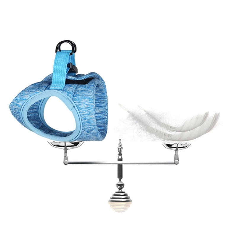 Cat Harness Leash Set