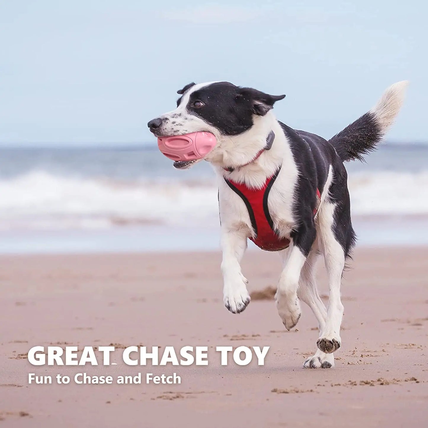 Durable Squeaky Dog Toy