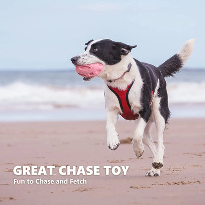 Durable Squeaky Dog Toy