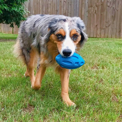 Durable Squeaky Dog Toy