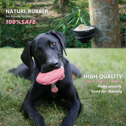 Durable Squeaky Dog Toy