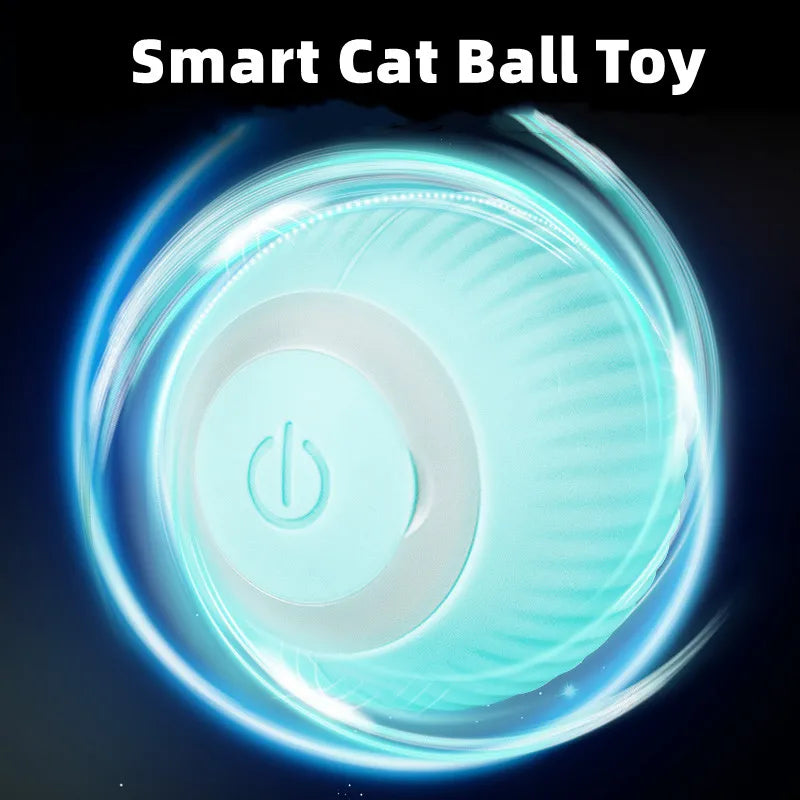Cat Electric Toys