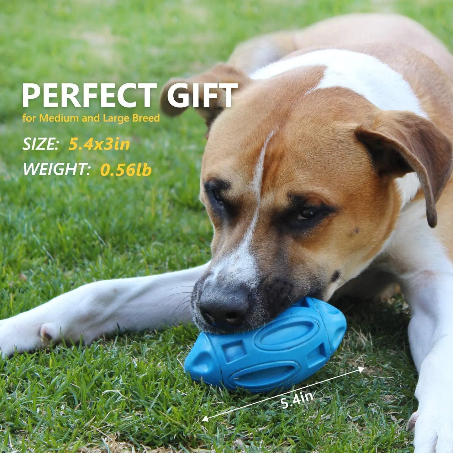 Durable Squeaky Dog Toy