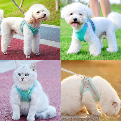 Reflective Cat Harness Leash Set