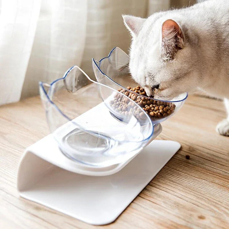 Non-Slip Double Pet Bowl with Stand