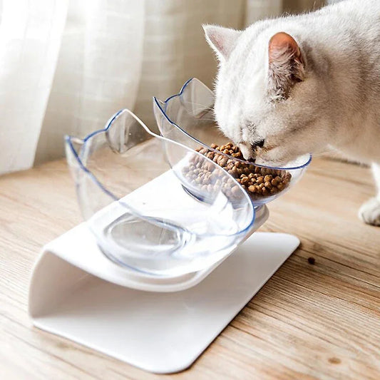 Non-Slip Double Pet Bowl with Stand