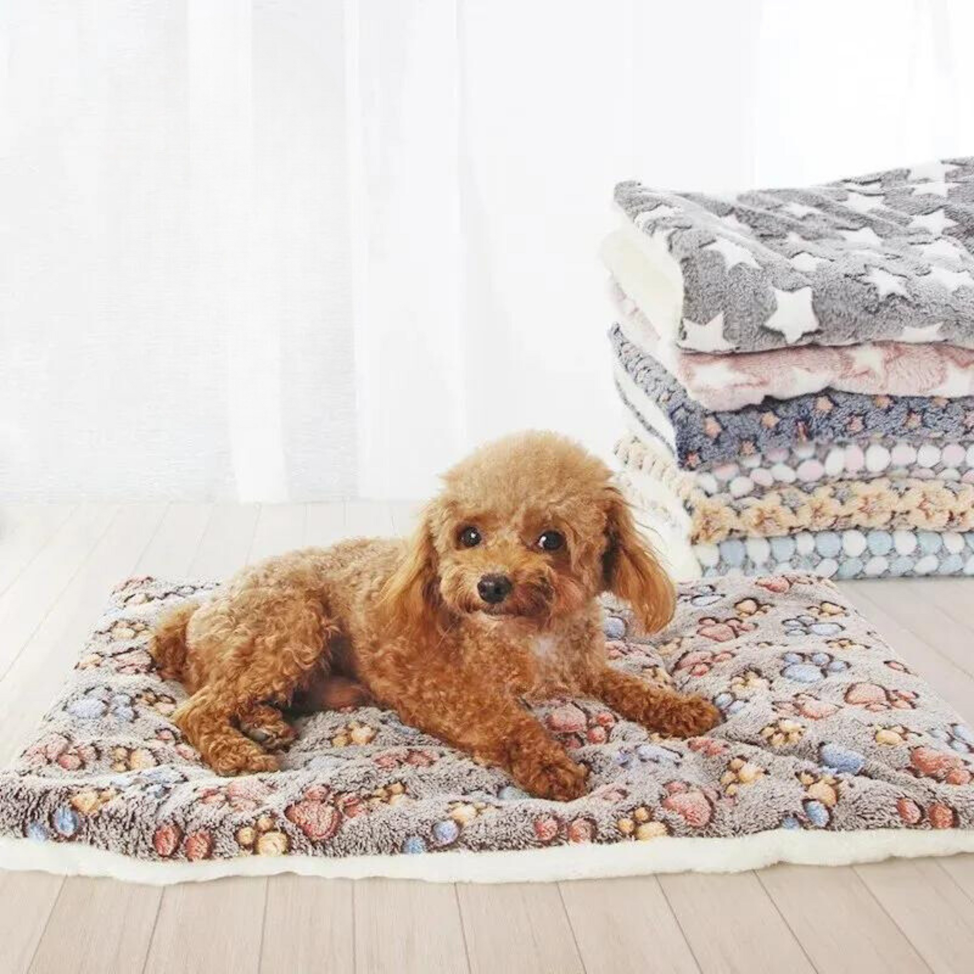 Winter Anti-Slip Pet Pad