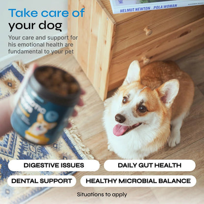 Probiotics for Dogs Dog Probiotic Chews for Digestive and Gut Health Dental Immune System Support Chewable Prebiotic Soft Treats Diarrhea and Bowel Support Supplement Wild Yam Yeast Powder