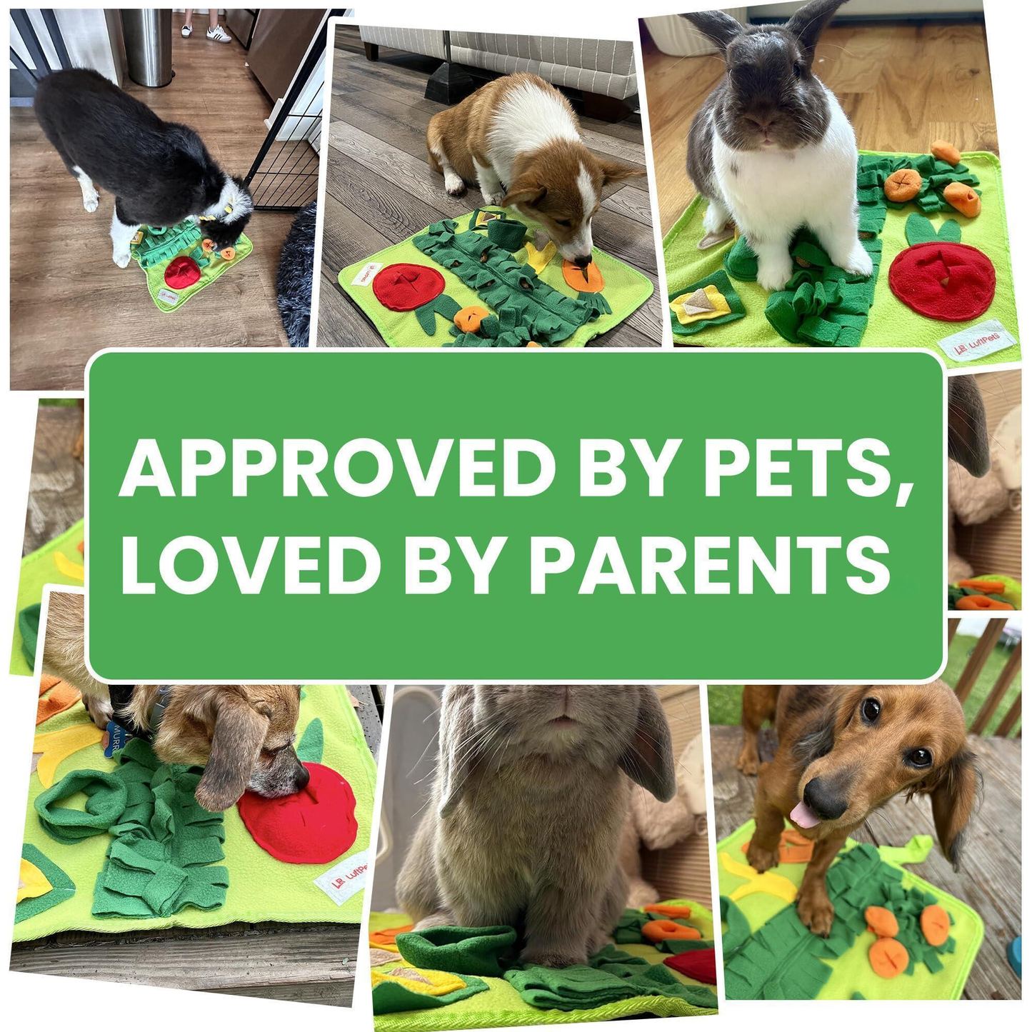 Soft Washable Anti-Slip Foraging Puzzle Toy