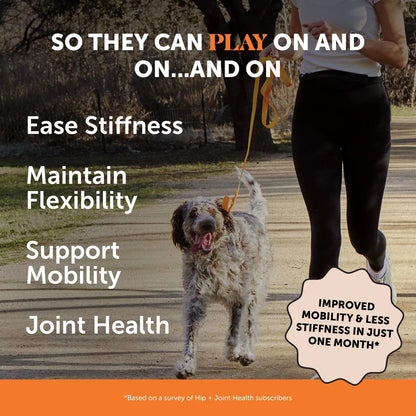 Pet Honesty Hip & Joint Health Chicken Flavor Supplement for Dog - 60Ct