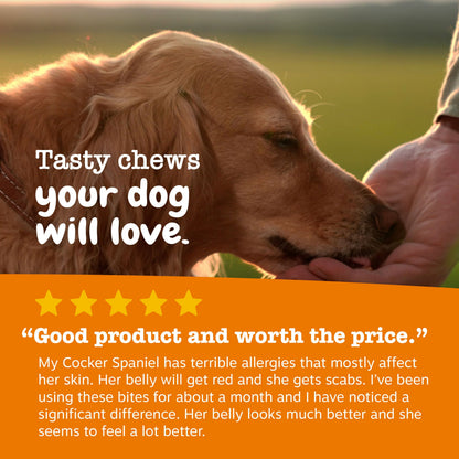 Allergy & Immune Bites for Dogs, for Allergies & Immune Support, Lamb, 170Ct