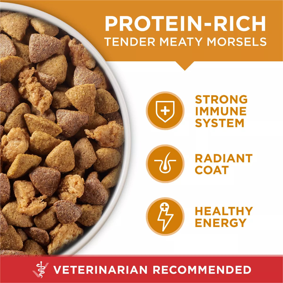 Purina ONE Smartblend Natural Dry Dog Food with Chicken & Rice